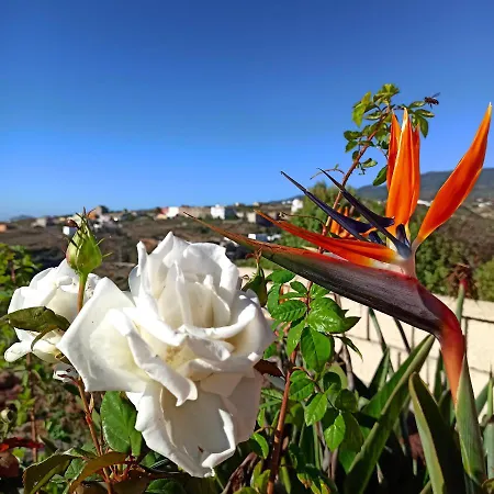 Finca Aurora - Cozy 1-bed *